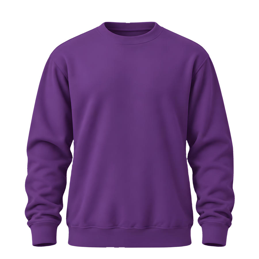 Sweatshirt · Purple · Front