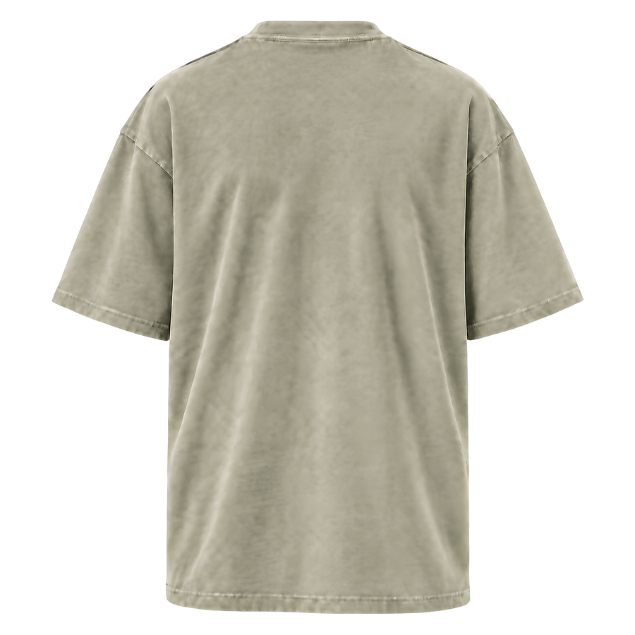 Oversized Faded T-Shirt · Faded Eucalyptus · Back
