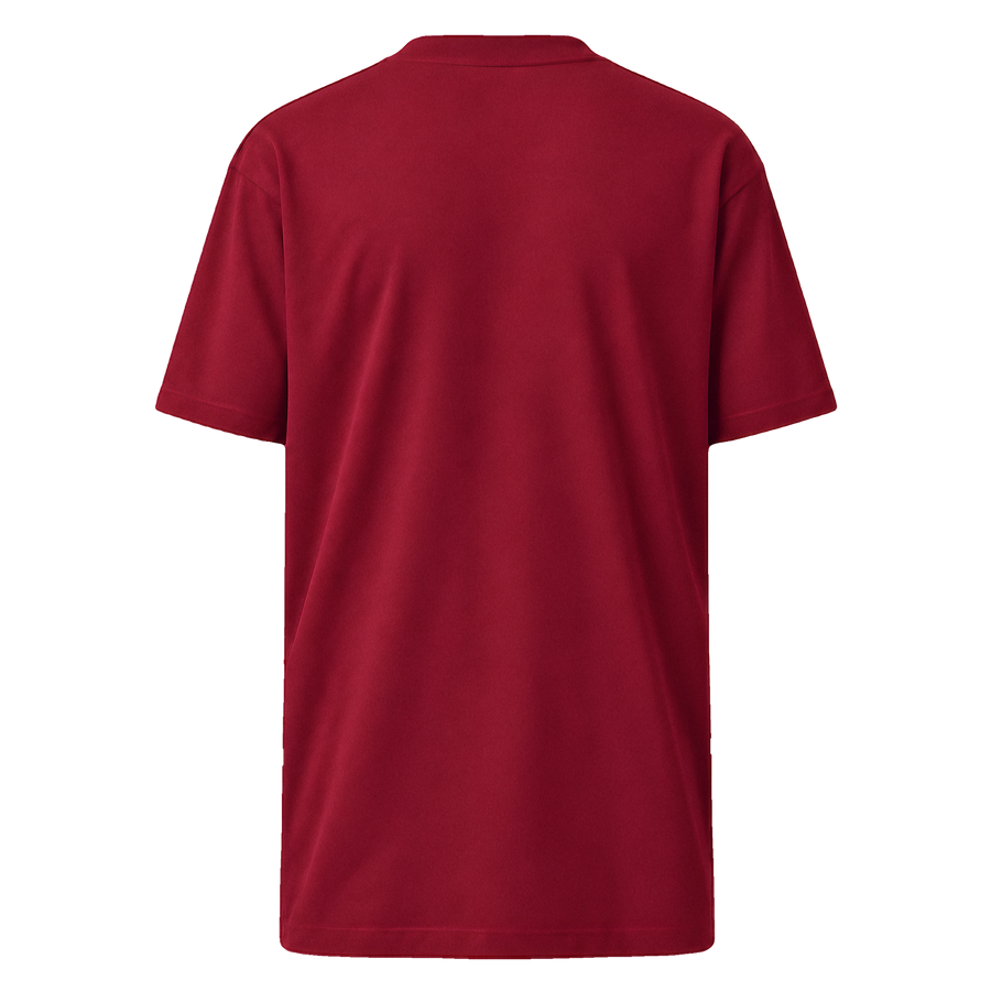 T-Shirt · Premium Heavyweight Tee Brick Red · Back