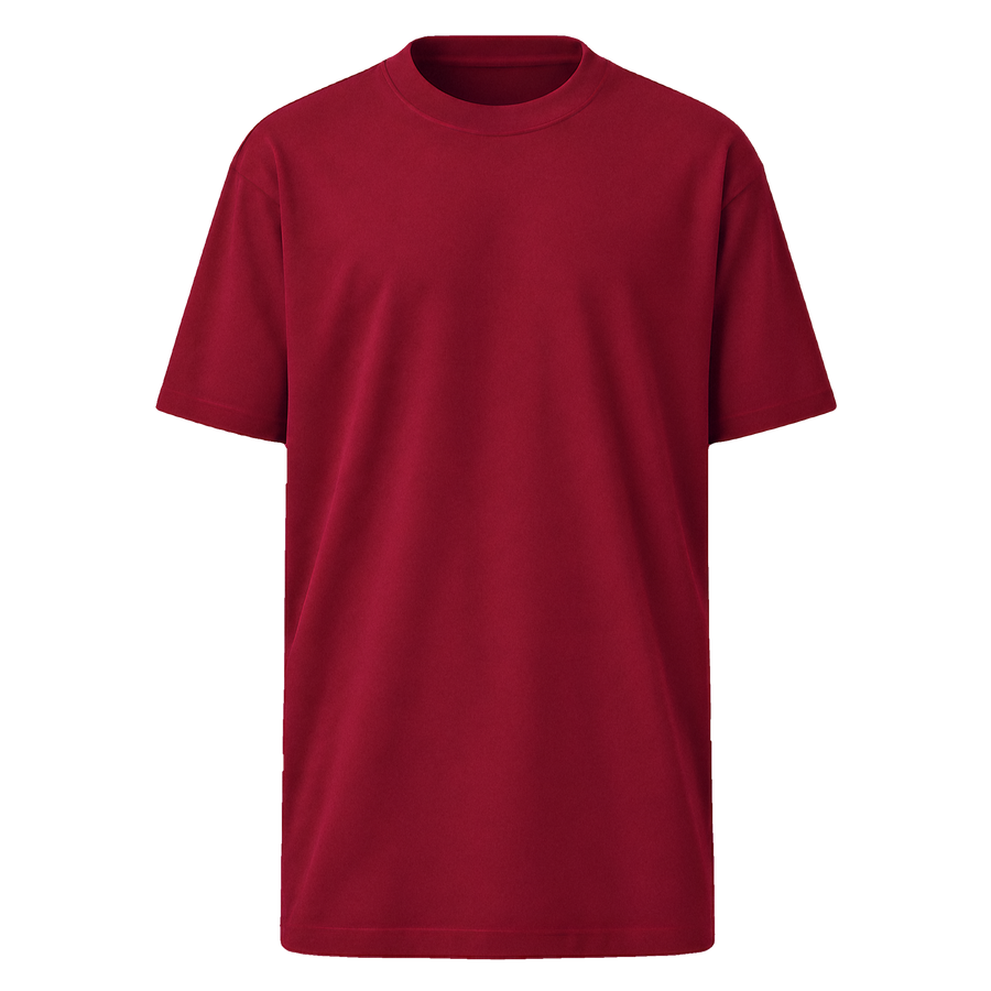 T-Shirt · Premium Heavyweight Tee Brick Red · Front
